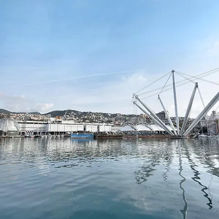 - A Due Passi Dall'acquario *